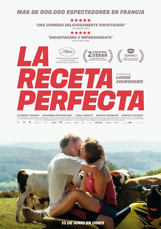 LA RECETA PERFECTA